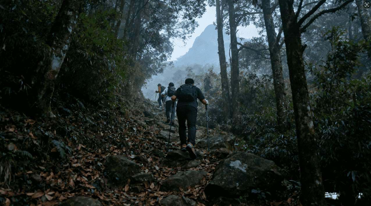 盘点旋风加速器中不同病毒类型及应对措施